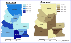 Figure 2. Overall frequency distribution of blue mold and gray mold across 10 counties surveyed in 2016. Deeper colors indicate a higher decay rate. 