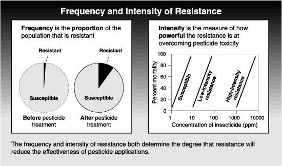 graphs of frequency and intensity of resistance