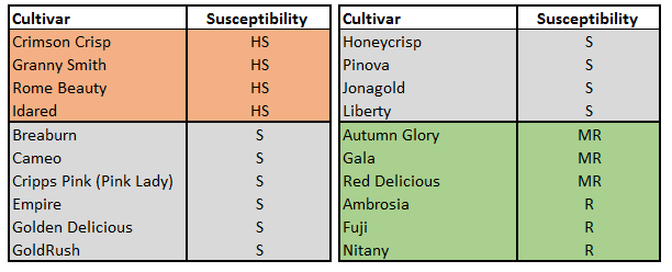 Table 1. Susceptibility to powdery mildew of major apple cultivars HS = Highly susceptible; H = Susceptible, MR = Moderately resistant; R = Resistant. 