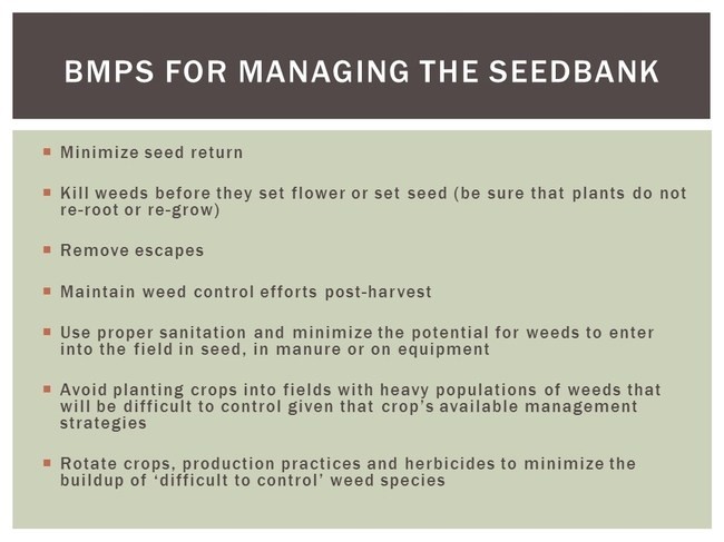 Figure 3. Generalized (across all cropping systems) Best Management Products (BMPs) for minimizing seed return.