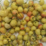 Fruit from little cherry positive tree.