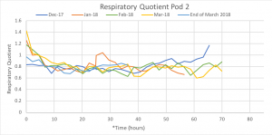 Graph of the respiratory quotient for Pod 2 fruit during O2 challenges.