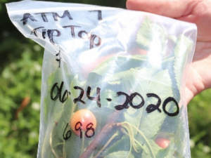 a sample bag with the correct labeling shown.