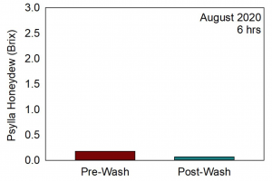 Chart showing the level of honeydew present pre- and post-washing in August. The pre-wash Brix level was less than 0.25 and the post-wash level being well below that.
