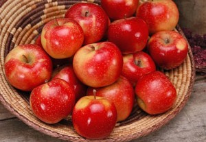 WA 2 was the first WSU apple variety released to Washington growers.