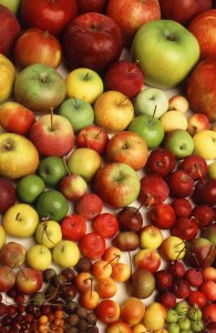 clonal apples