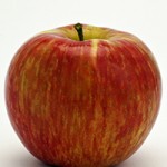 Honeycrisp apple
