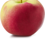 McIntosh apple