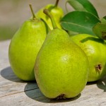 Tosca pears