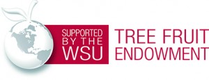 Suppported by the WSU Tree Fruit Endowment