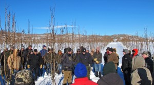 Pear pruning demonstration with Dr. Stefano Mussachi Tonasket Jan 2017. Photo T. DuPont, WSU Extension.