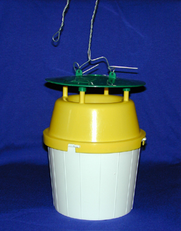 Bucket trap for Lacanobia fruitworm (M. Doerr)
