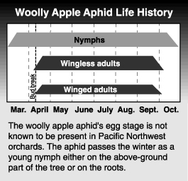 life history graph and explanation