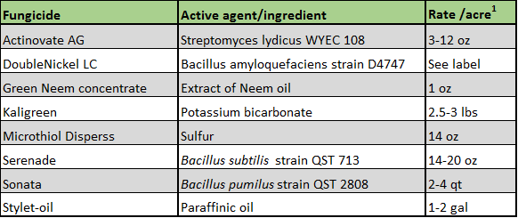 Table 3. Fungicides registered to control powdery mildew in organic apple orchards. 1) Check the labels for rates and specific timing of application.