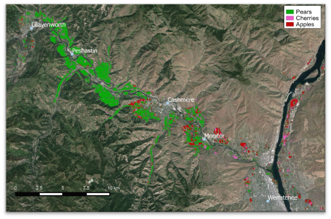 Figure 4. Wenatchee valley orchards: pears (green), cherries (pink), apples (red).