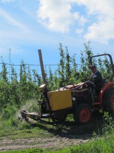a tractor with a weeding attachment driving through an orchard