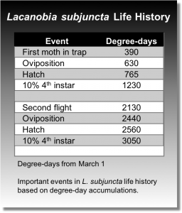Important events in Lacanobia subjunctive life history based on degree-day accumulations.