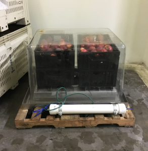 fruit in crates within a SafePod.