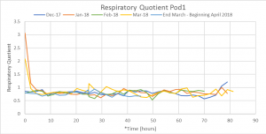Graph of respiratory quotient for pod 1 over the course of the oxygen challenge.