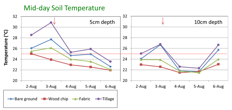 Graphs showing differences between bare ground, wood chip, fabric, and tillage treatments on soil temperature at different depths.