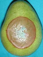 a green pear with a large brown area with white flecks and a patch of blue-gray