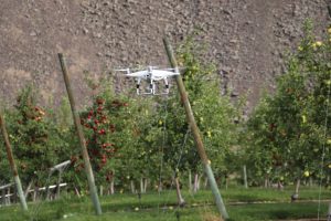 A drone hovering mid-air in an apple orchard.