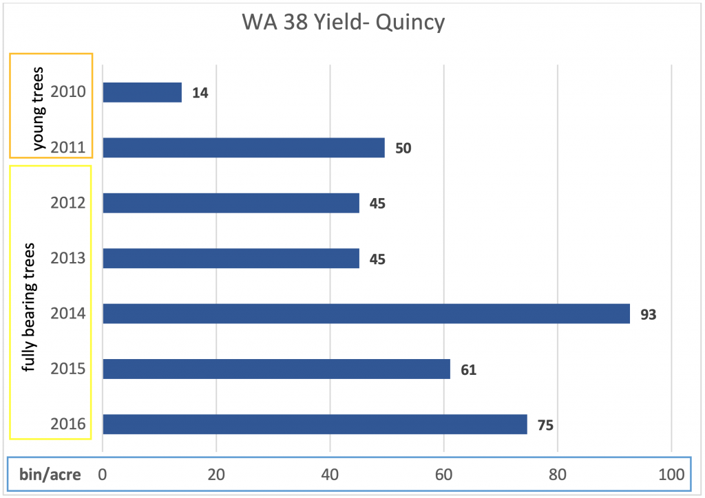 Bar graph of WA 38 yield in Quincy