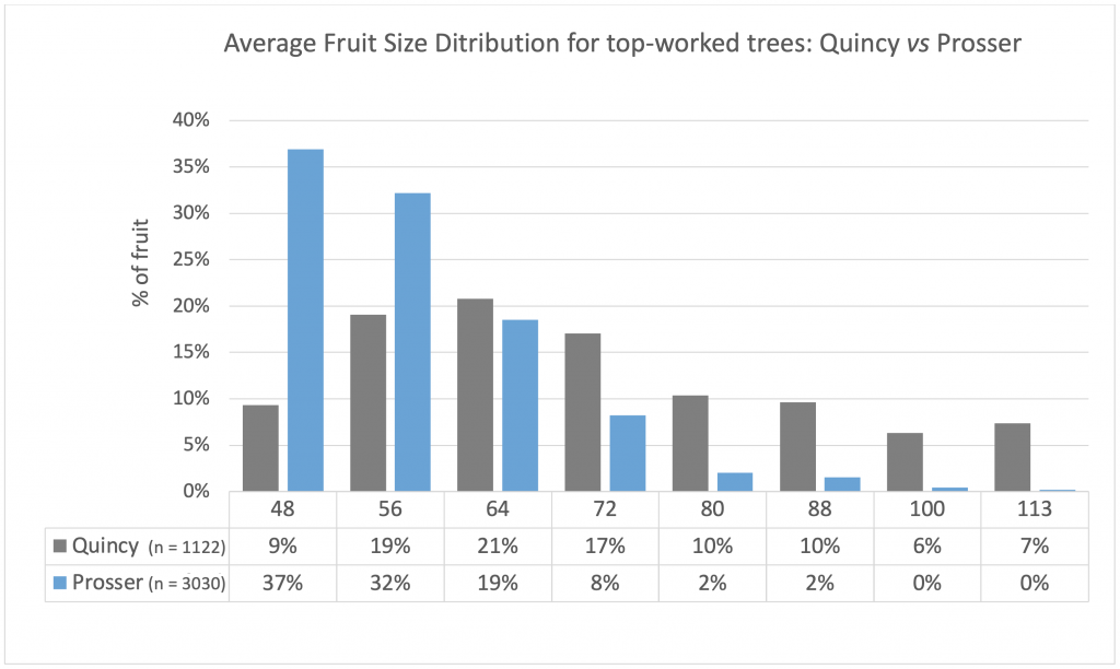 bar graph of average fruit size distribution Quincy versus Prosser