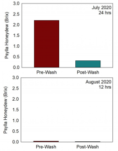 Chart showing the effect of washing on the amount of Honeydew present pre- and post-washing as measured by Brix scale. Shart also compares two different times during the season when the washing occurred. The first timing was in July with 24hr washing interval that decreased the Brix from slightly over 2.0 pre-wash compared to under 0.5 for post-wash. The next timing was in August suing 12hr interval where the pre-wash Brix was well below 0.5 and post-wash even less.